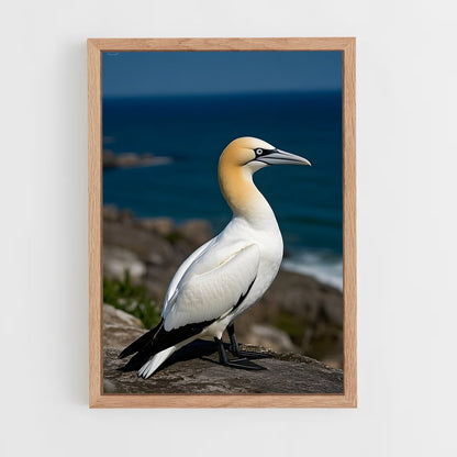 ap-gannet-2 cadre Bois clair