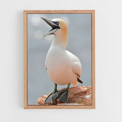 ap-gannet-3 cadre Bois clair