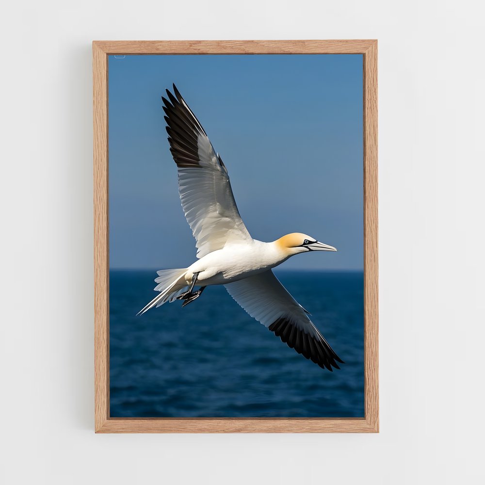 ap-gannet-4 cadre Bois clair