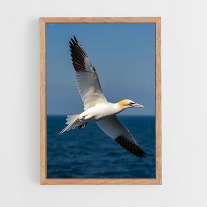 ap-gannet-4 cadre Bois clair