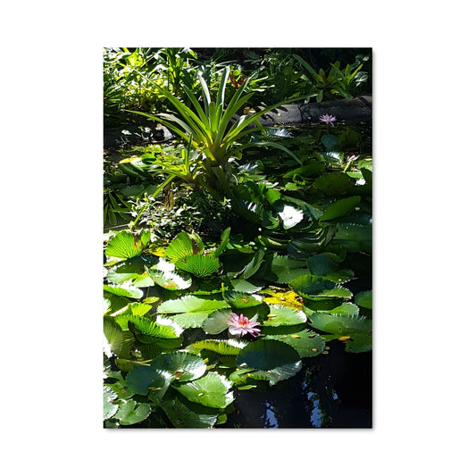 Poster Étang Enchanté