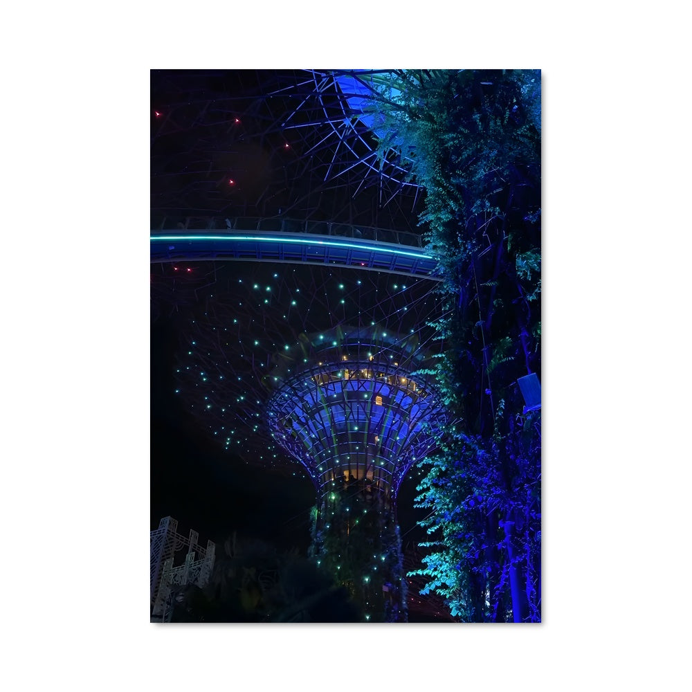 Poster Forêt Lumineuse