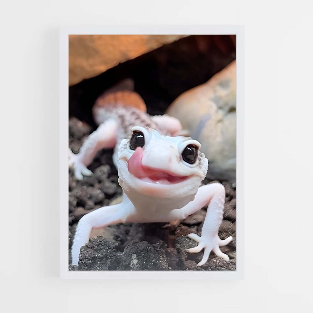 ap-gecko-1 cadre Blanc