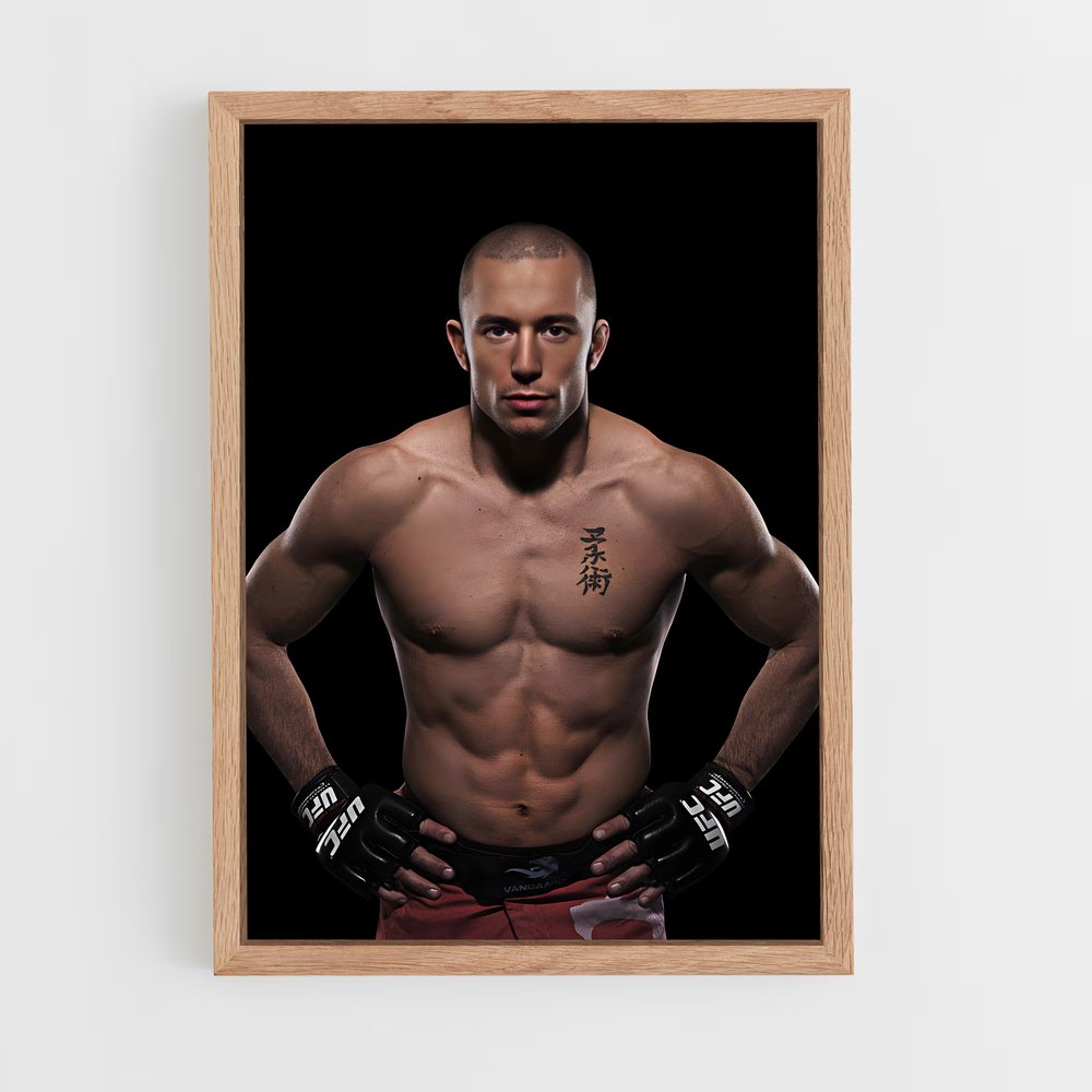 ap-georges st-pierre-2 cadre Bois clair