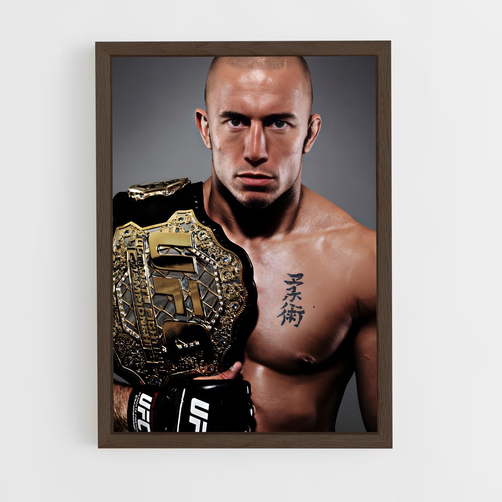 ap-georges st-pierre-3 cadre Bois foncé
