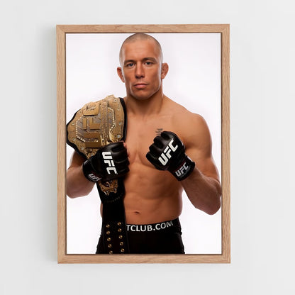ap-georges st-pierre-8 cadre Bois clair