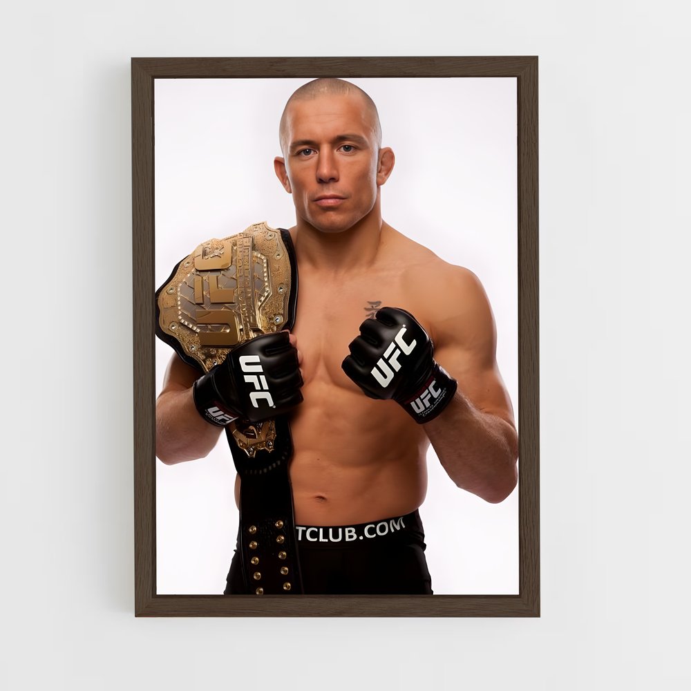 ap-georges st-pierre-8 cadre Bois foncé