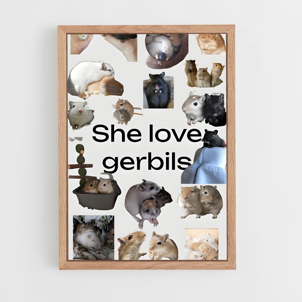 ap-gerbil-1 cadre Bois clair