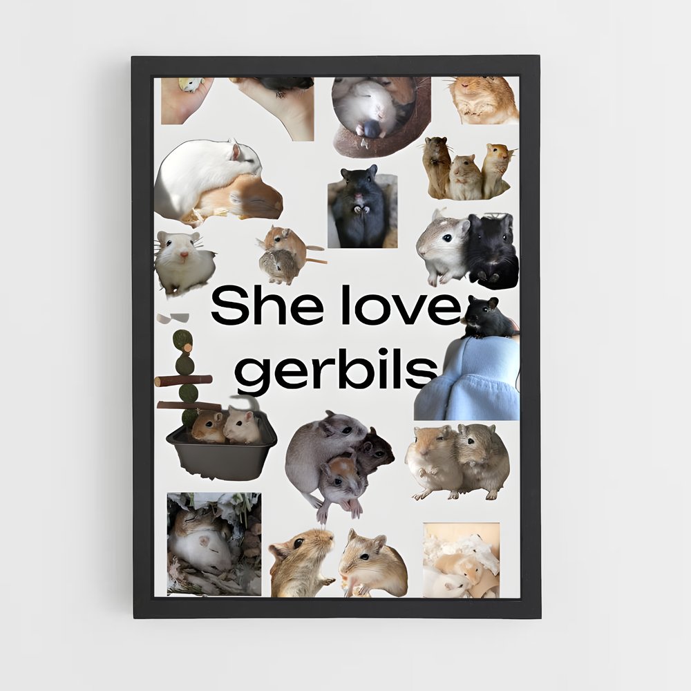 ap-gerbil-1 cadre Noir