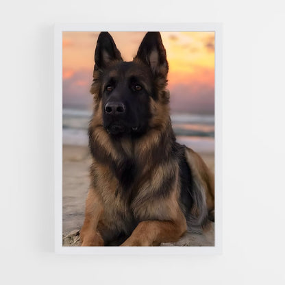 ap-german shepherd-2 cadre Blanc