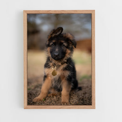ap-german shepherd-4 cadre Bois clair
