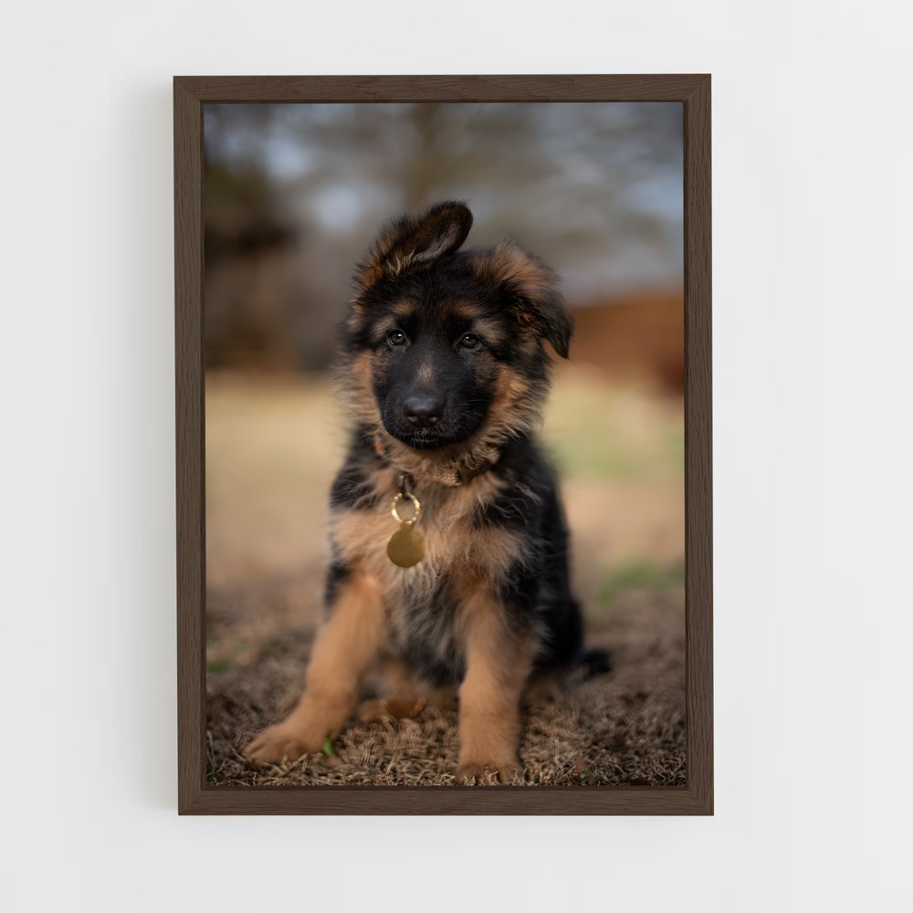 ap-german shepherd-4 cadre Bois foncé