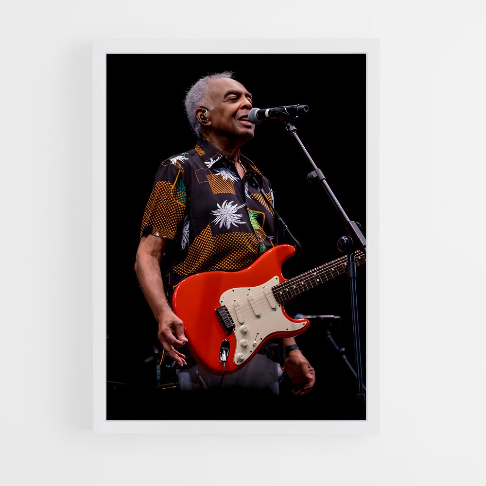ap-gilberto gil-3 cadre Blanc