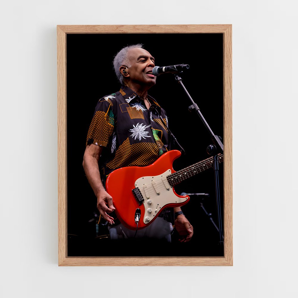 ap-gilberto gil-3 cadre Bois clair