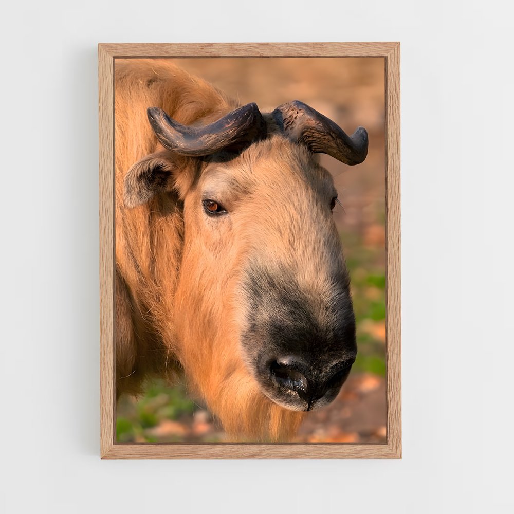 ap-gnu-4 cadre Bois clair