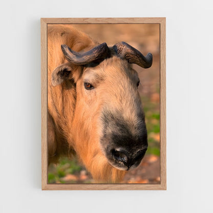 ap-gnu-4 cadre Bois clair