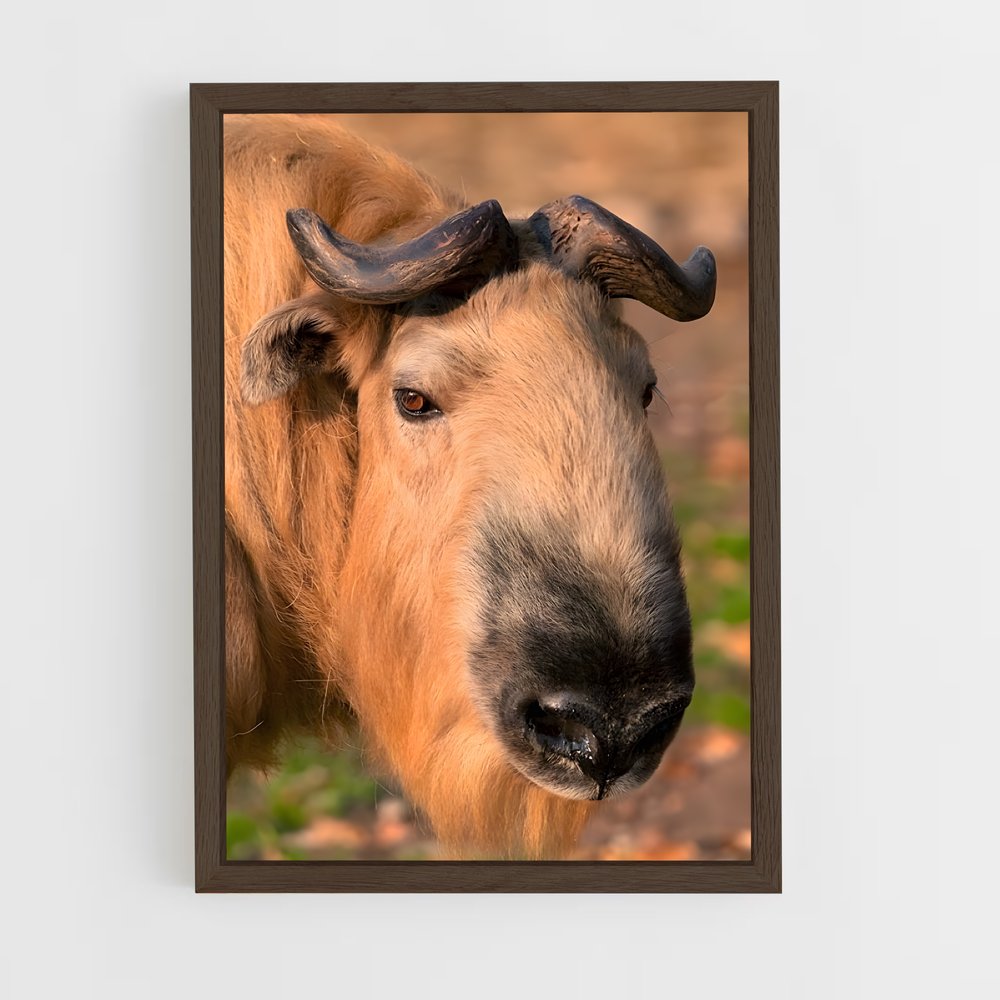 ap-gnu-4 cadre Bois foncé