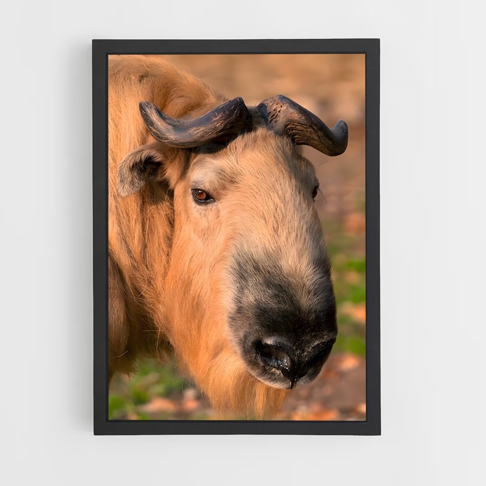 ap-gnu-4 cadre Noir