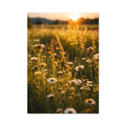 Poster Golden hour 97822