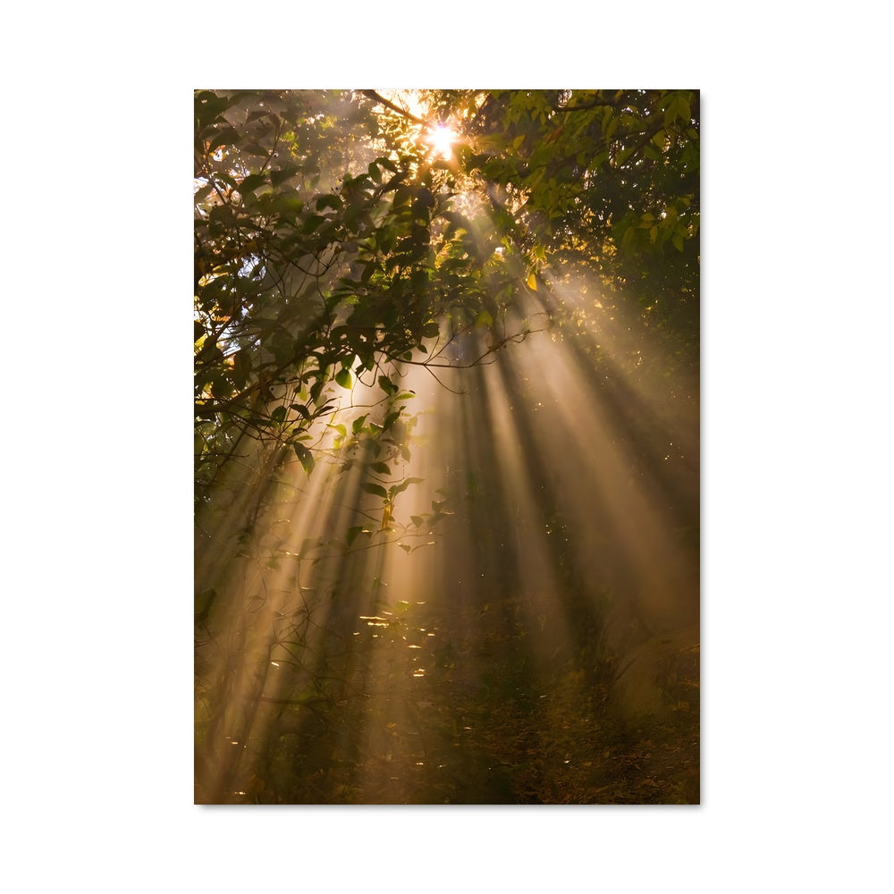 Poster Golden hour 97831