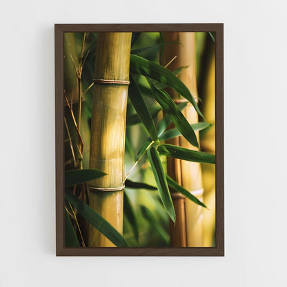 ap-golden bamboo-6 cadre Bois foncé