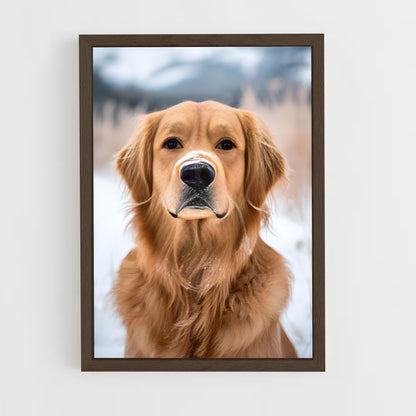ap-golden retriever-6 cadre Bois foncé