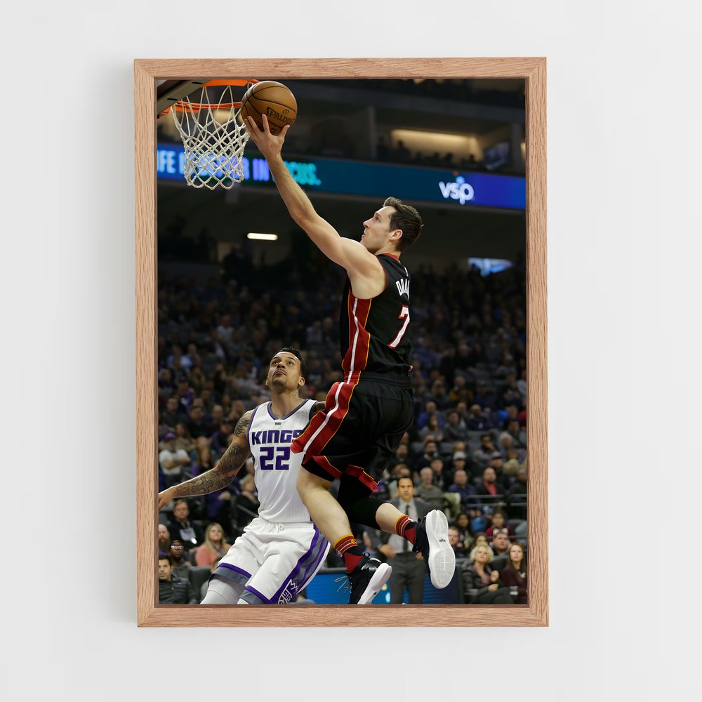 ap-goran dragic-6 cadre Bois clair
