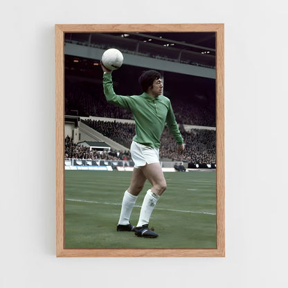 ap-gordon banks-4 cadre Bois clair