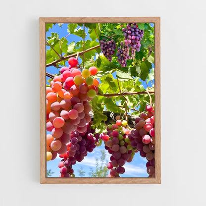 ap-grapes-3 cadre Bois clair