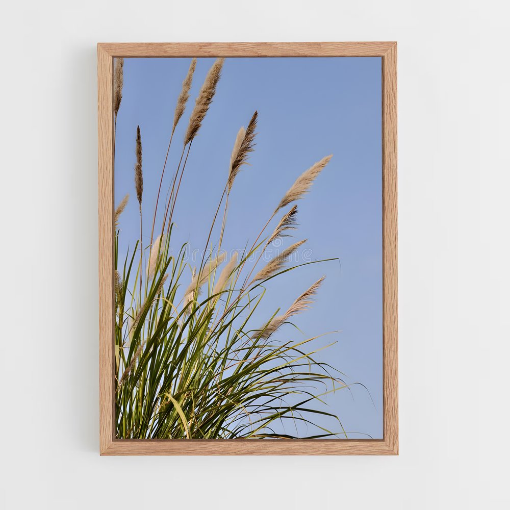 ap-grass-8 cadre Bois clair