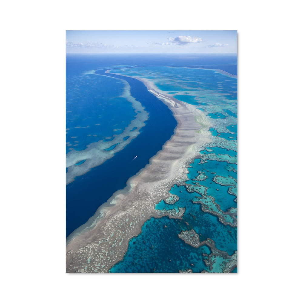 Poster Récif Éblouissant