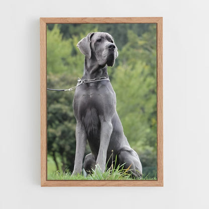 ap-great dane-1 cadre Bois clair