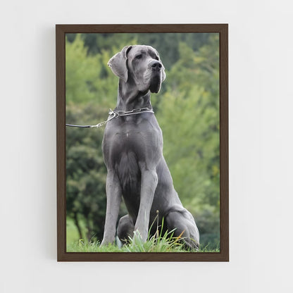 ap-great dane-1 cadre Bois foncé