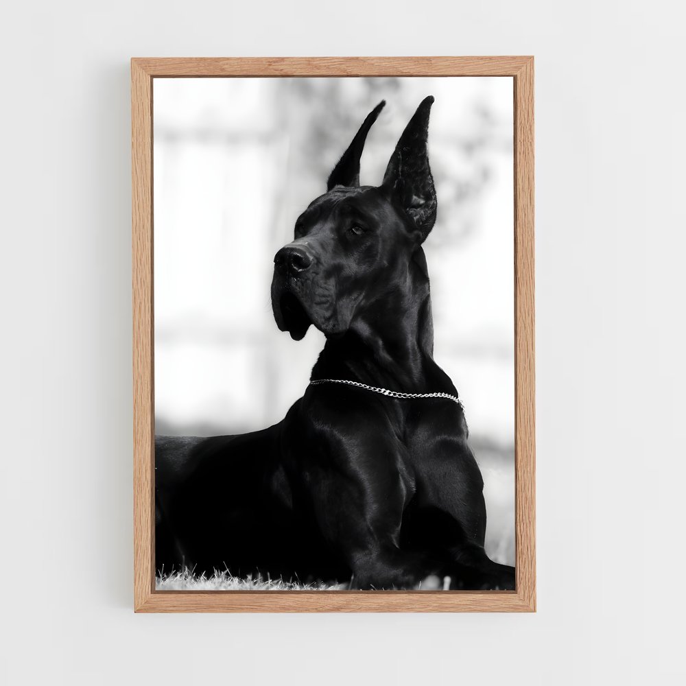 ap-great dane-4 cadre Bois clair