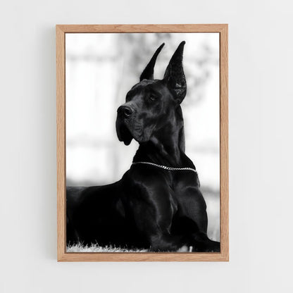 ap-great dane-4 cadre Bois clair
