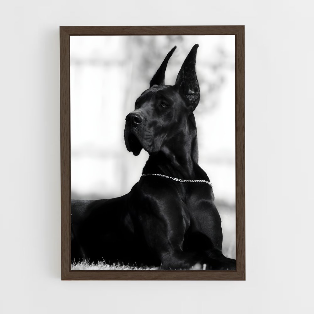 ap-great dane-4 cadre Bois foncé