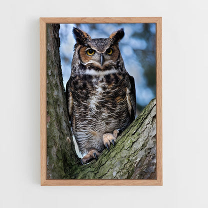 ap-great horned owl-1 cadre Bois clair