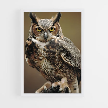 ap-great horned owl-2 cadre Blanc