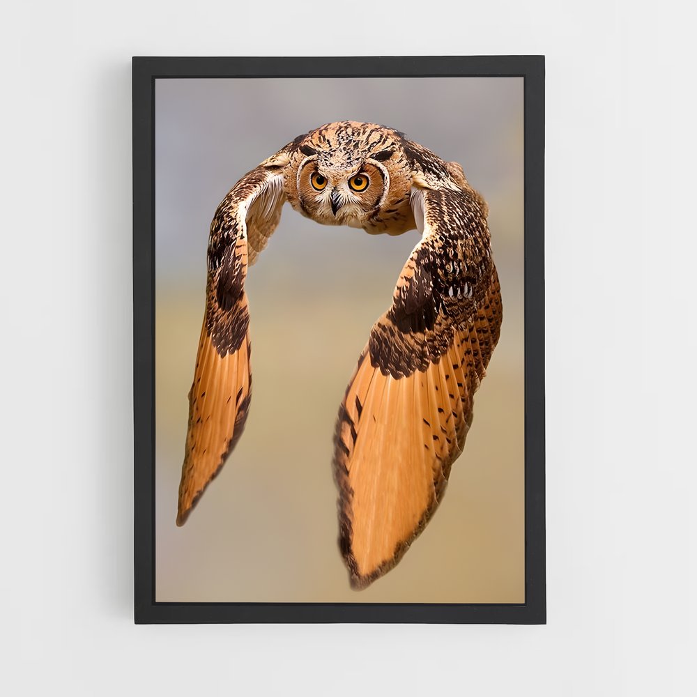 ap-great horned owl-5 cadre Noir
