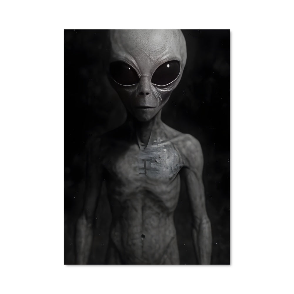 Poster L'Inconnu dans l'Obscurité