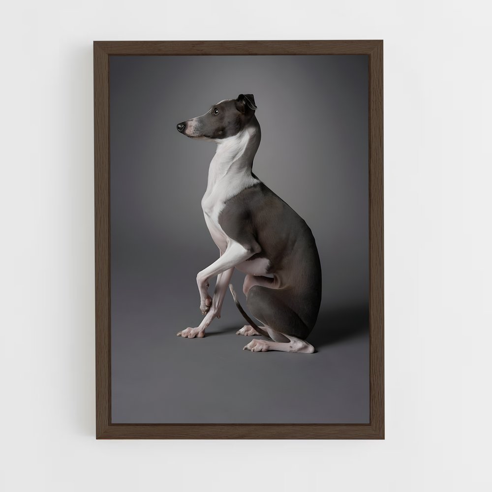 ap-greyhound-10 cadre Bois foncé
