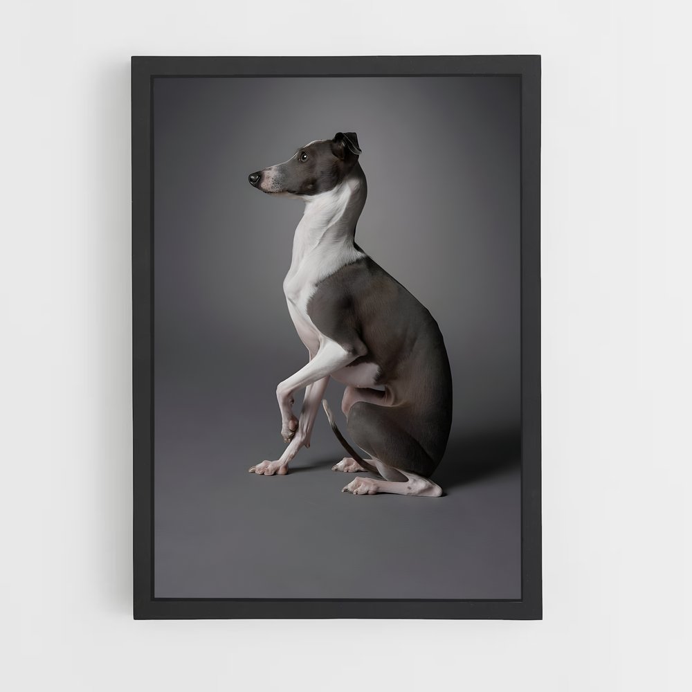 ap-greyhound-10 cadre Noir