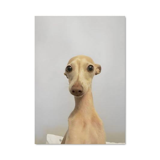 Poster Nez de Velours