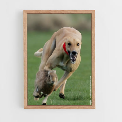 ap-greyhound racing-1 cadre Bois clair