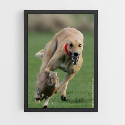 ap-greyhound racing-1 cadre Noir