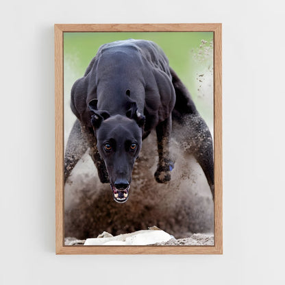 ap-greyhound racing-2 cadre Bois clair