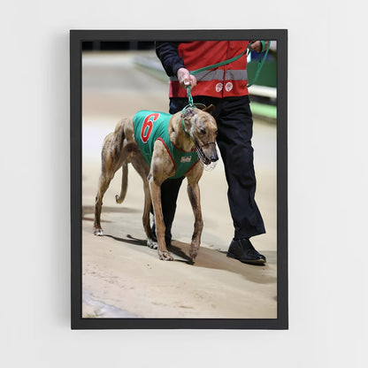 ap-greyhound racing-3 cadre Noir