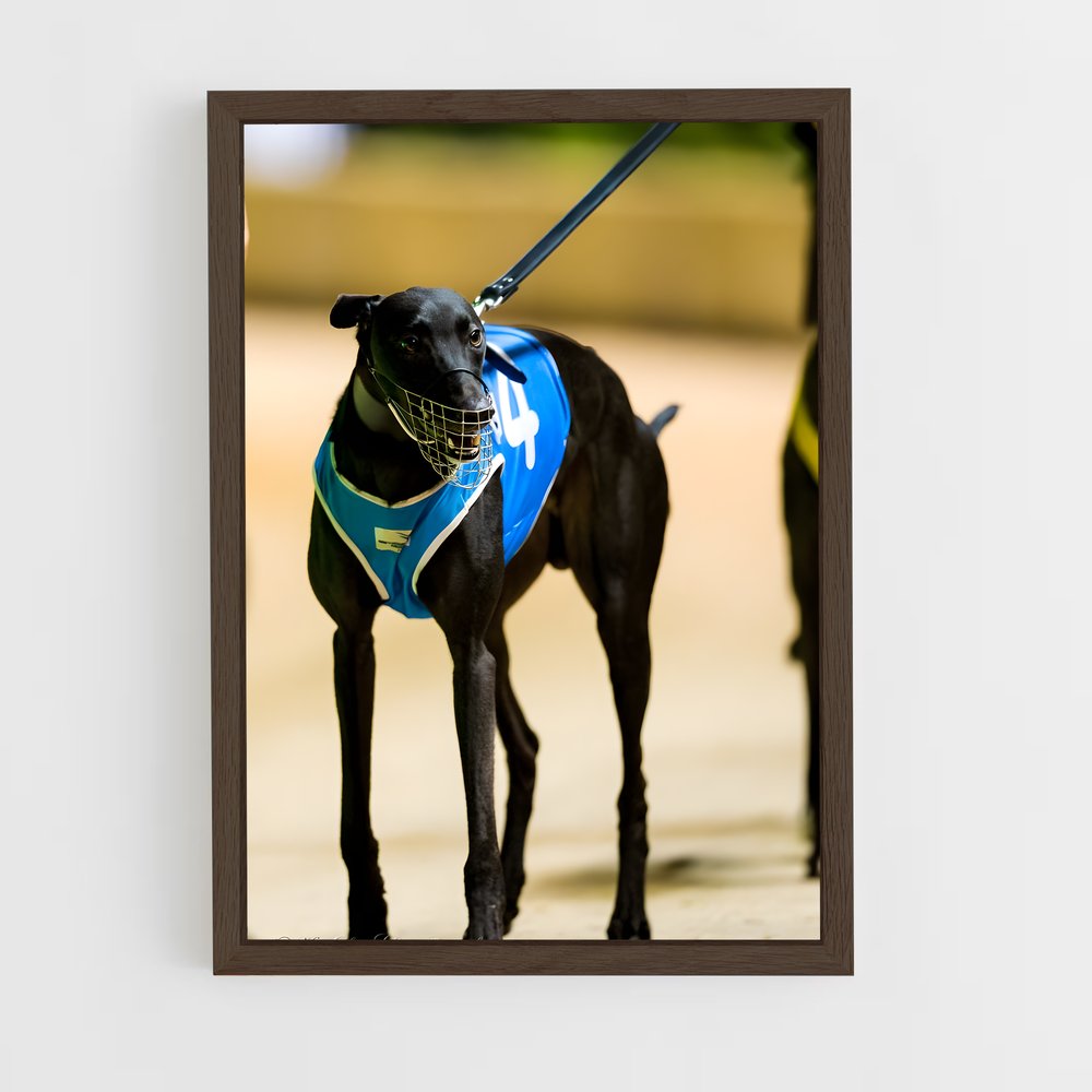 ap-greyhound racing-4 cadre Bois foncé