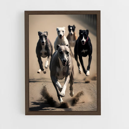 ap-greyhound racing-5 cadre Bois foncé