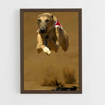 ap-greyhound racing-6 cadre Bois foncé